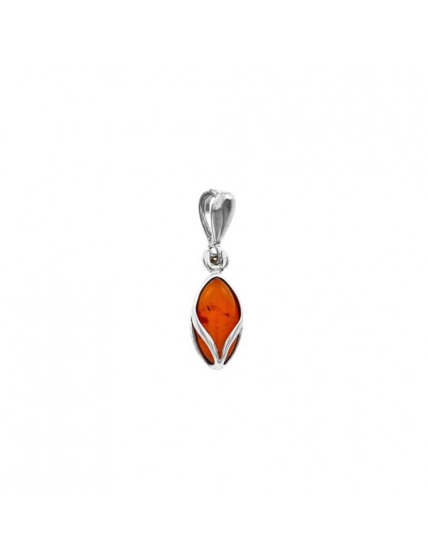 Pendentif pierre ovale d'ambre enveloppée d'argent 3160486 Nature d'Ambre 23,00 €